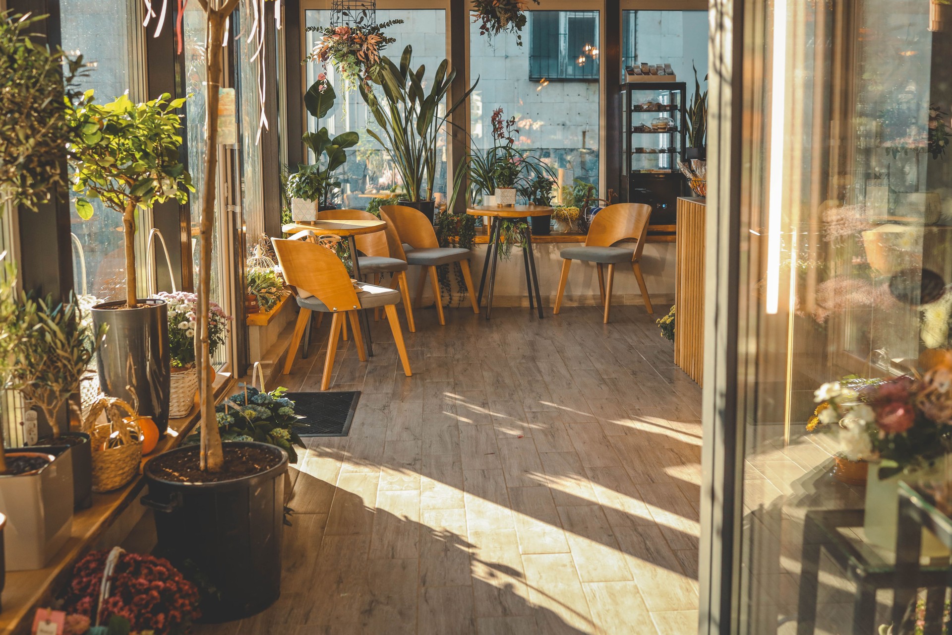 Bright and airy indoor space filled with flowers, plants, and cozy wooden furniture. Natural light streams in through large windows, creating a peaceful and inviting atmosphere